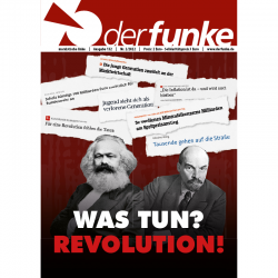 Ausgabe 132